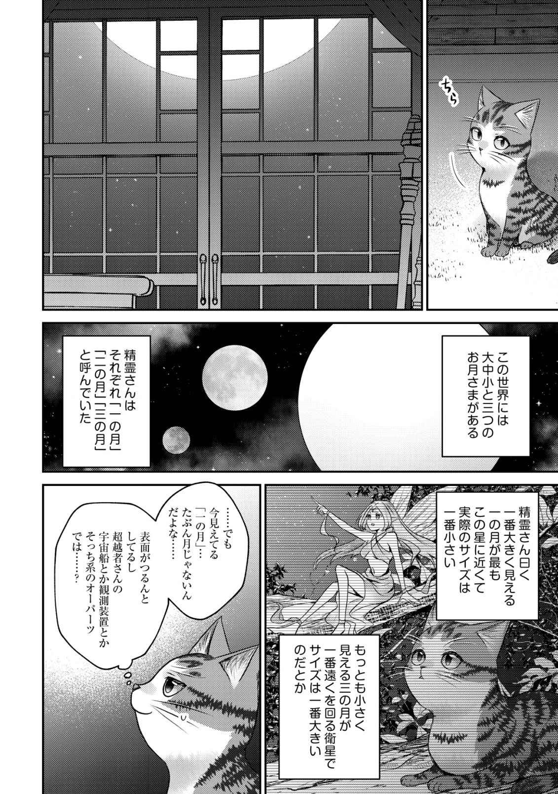 我輩は猫魔導師である～キジトラ・ルークの快適チート猫生活～ 第10.2話 - Page 13