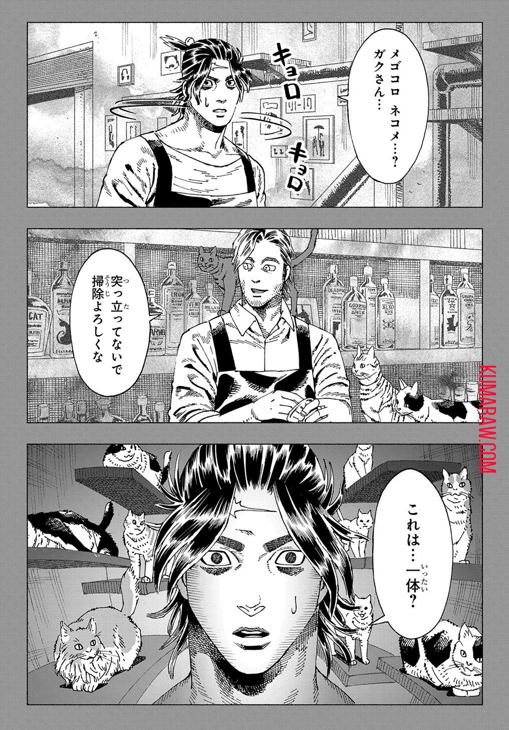 ニャイト・オブ・ザ・リビングキャット 第6.3話 - Page 11