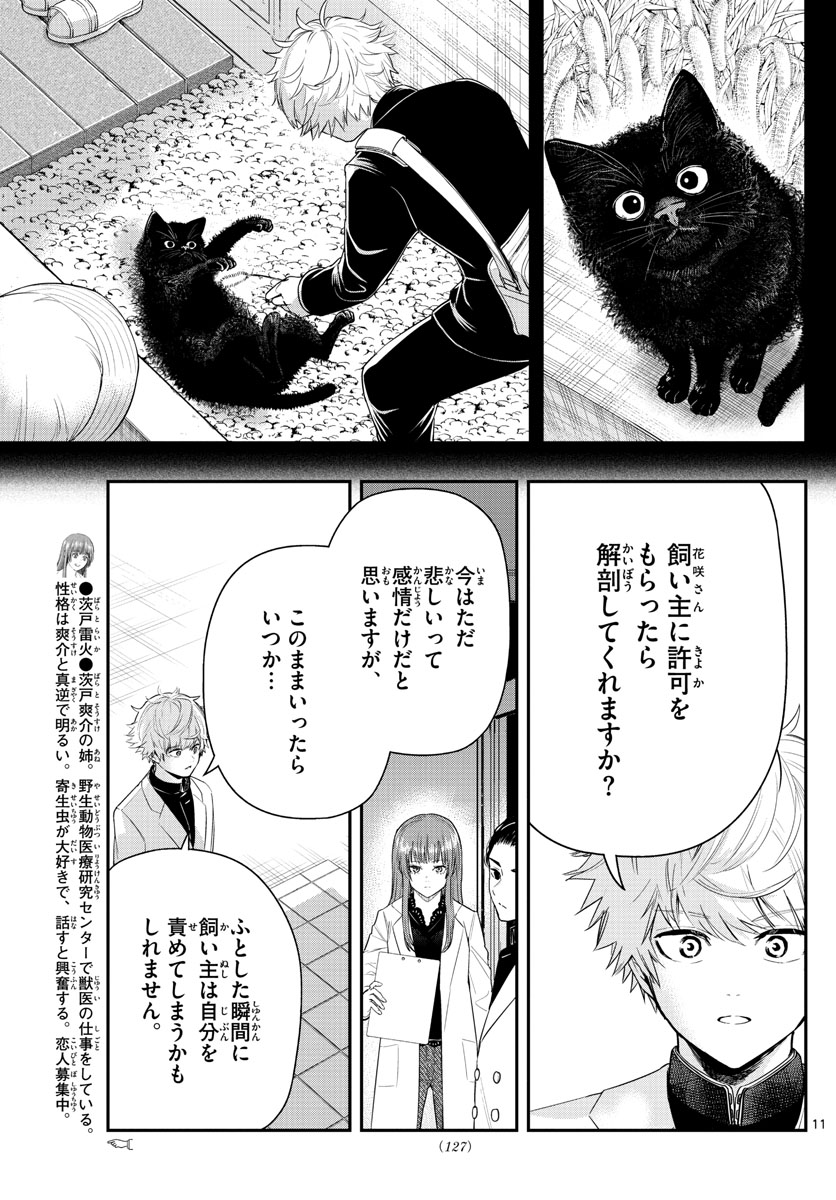 ラストカルテ-法獣医学者 当麻健匠の記憶- 第5話 - Page 11