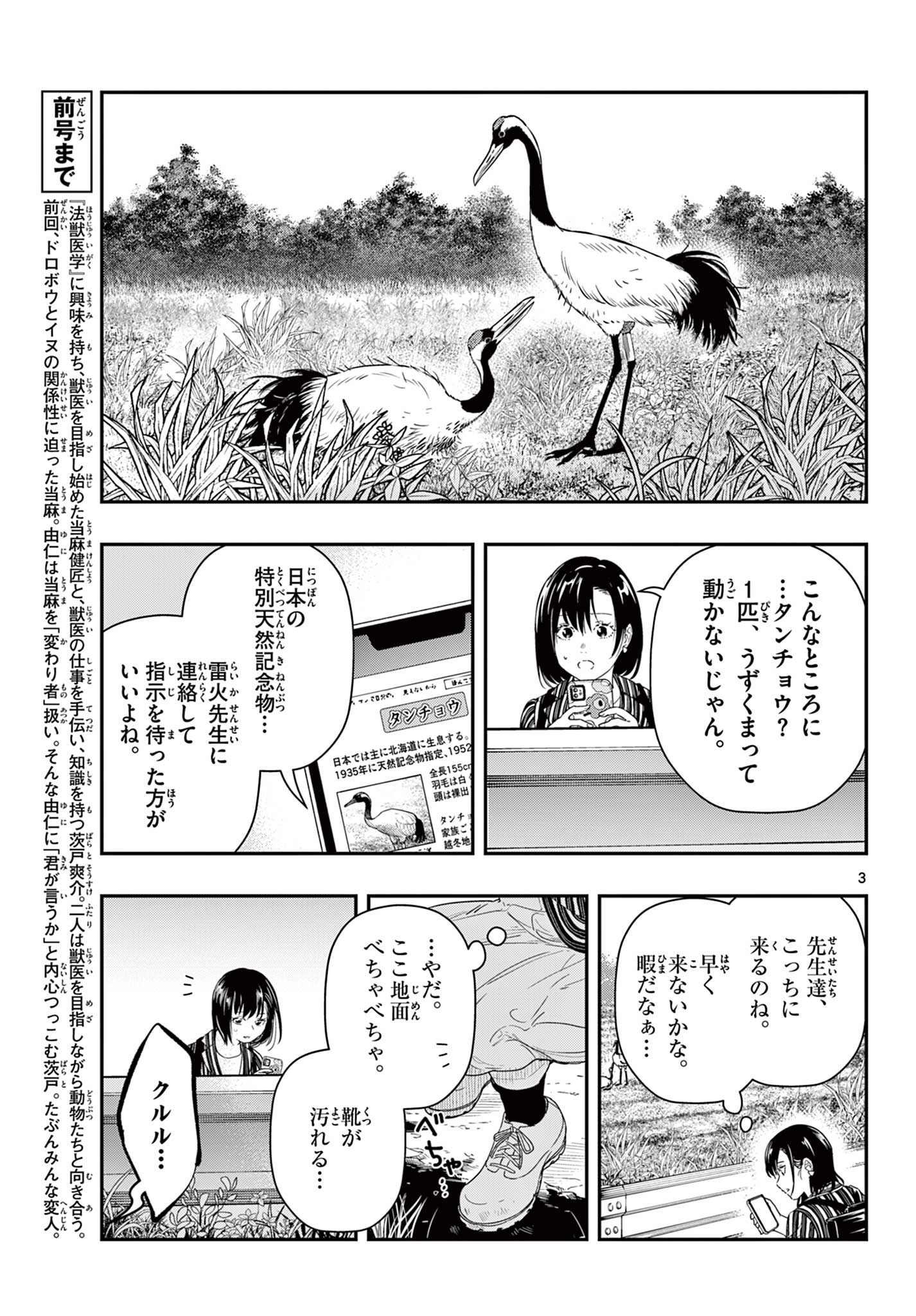 ラストカルテ-法獣医学者 当麻健匠の記憶- 第80話 - Page 3