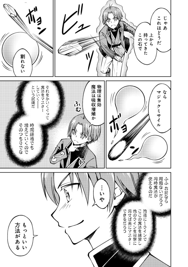 没落予定の貴族だけど、暇だったから魔法を極めてみた 第19話 - Page 11