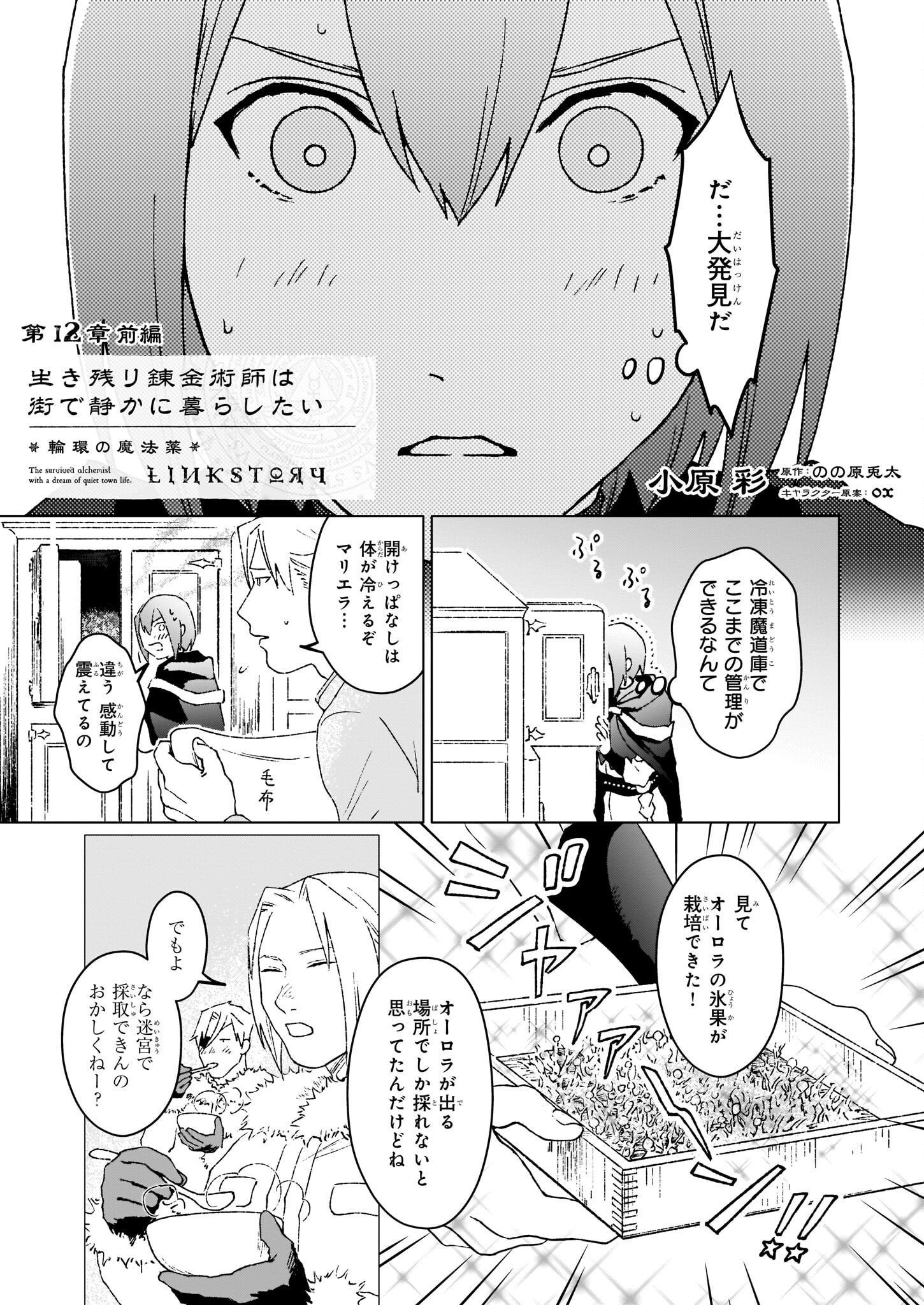 生き残り錬金術師は街で静かに暮らしたい ～輪環の魔法薬～ 第12.1話 - Page 1