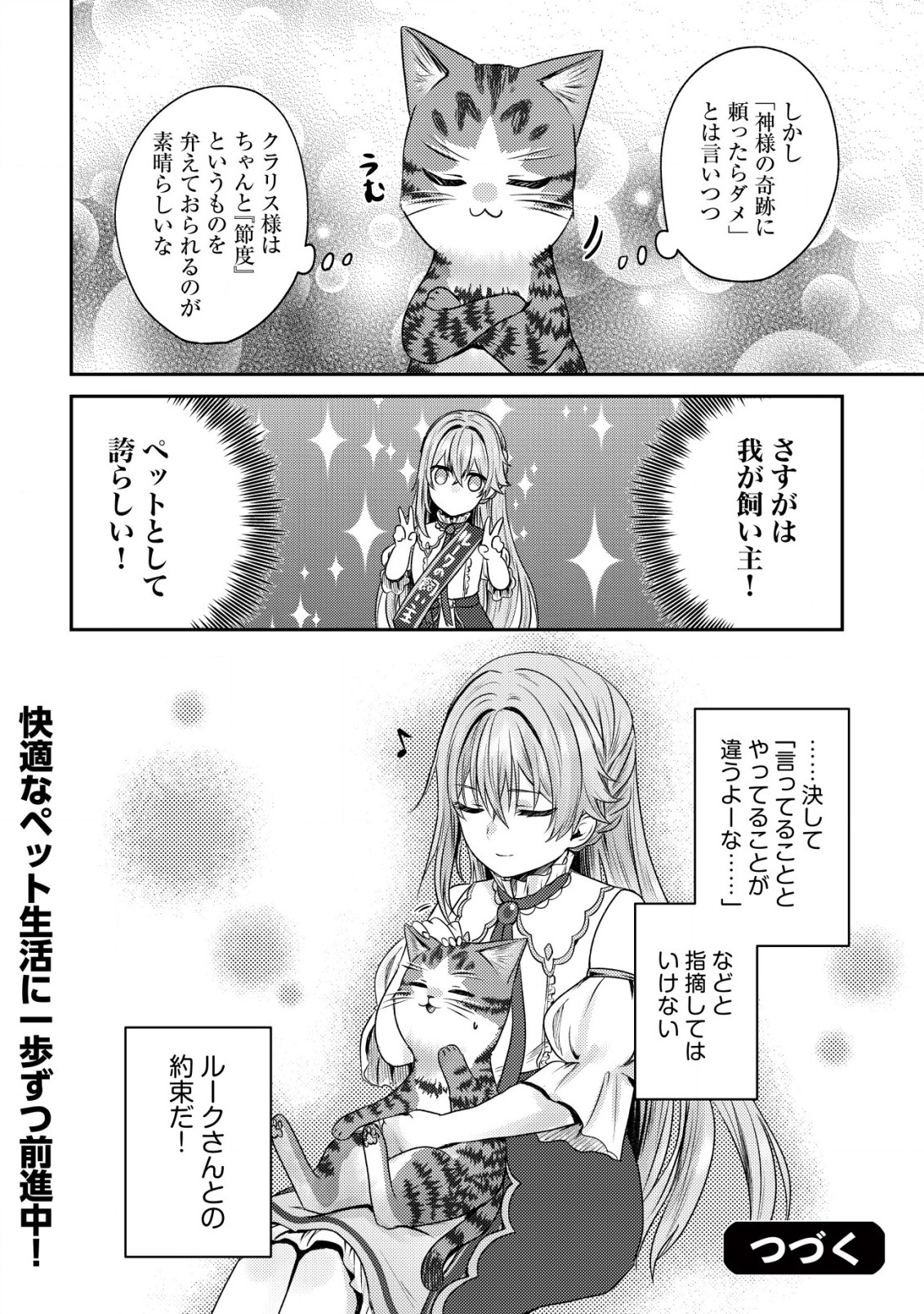 我輩は猫魔導師である～キジトラ・ルークの快適チート猫生活～ 第13.2話 - Page 10