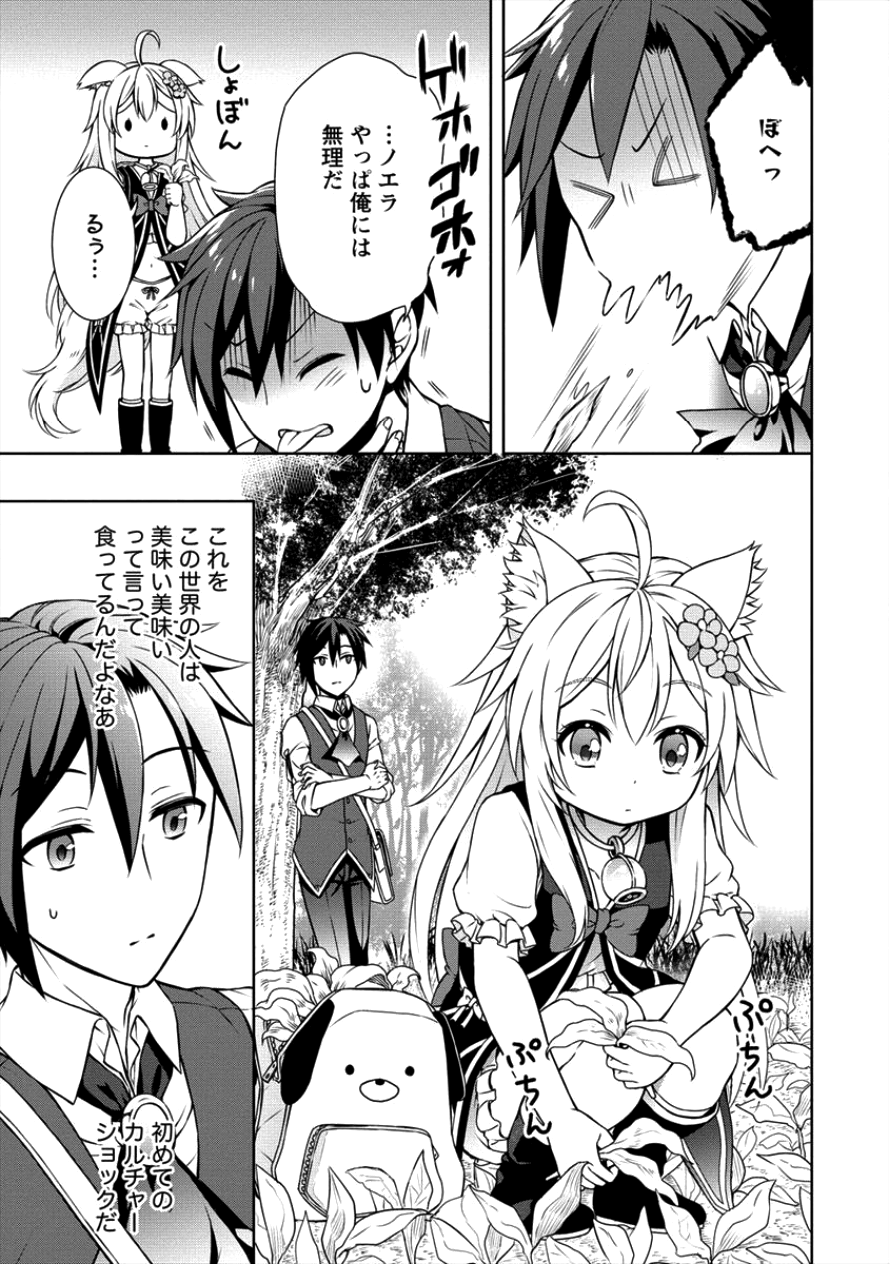 チート薬師のスローライフ 異世界に作ろうドラッグストア 第7話 - Page 17