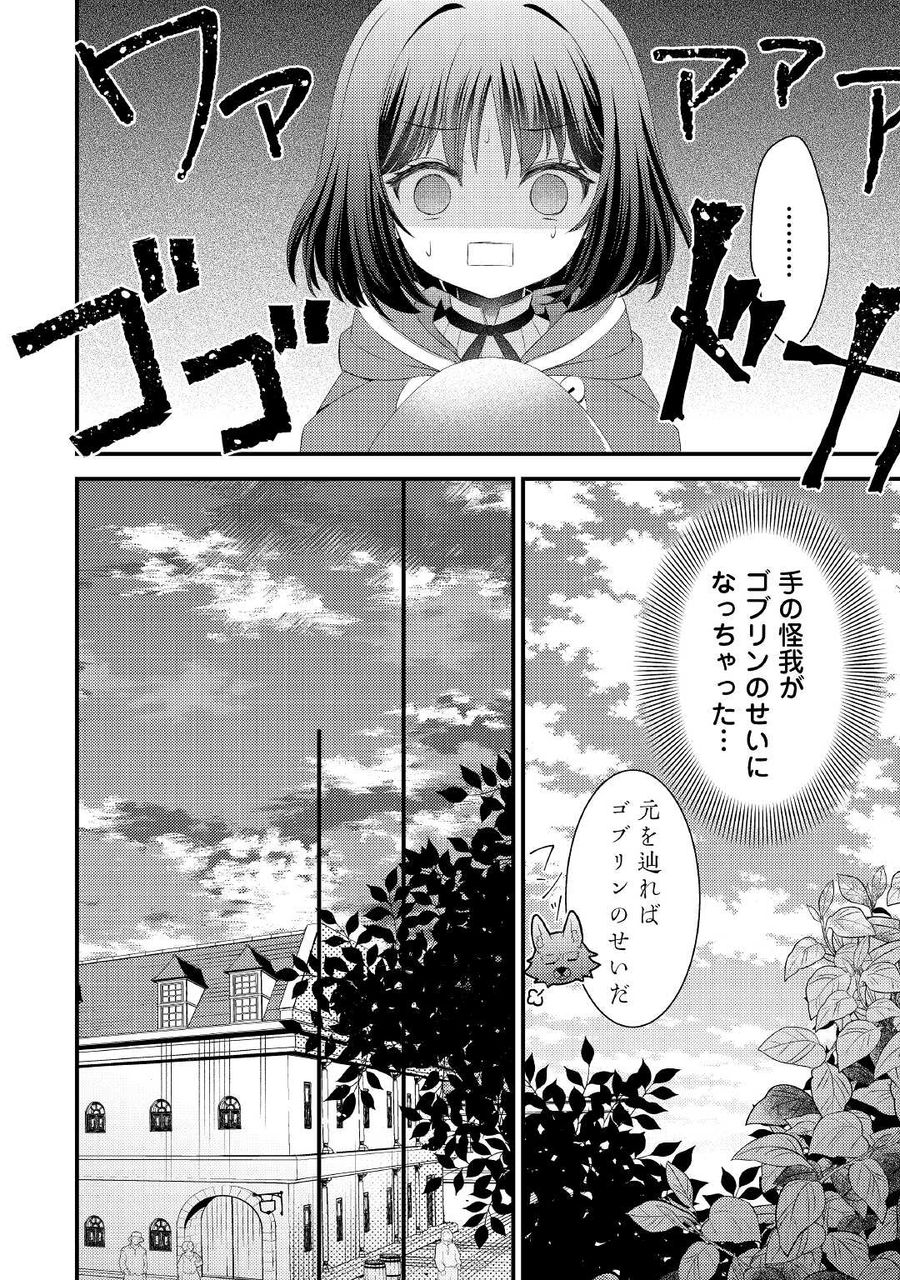 ほっといて下さい　―従魔とチートライフ楽しみたい！― 第10話 - Page 20