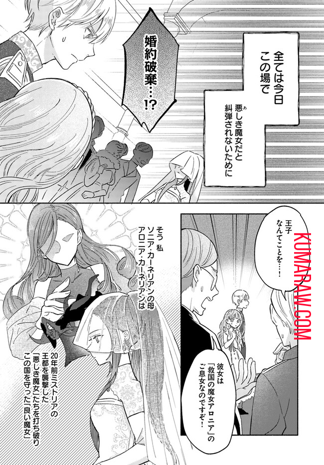 らすぼす魔女は堅物従者と戯れる 第1.1話 - Page 11