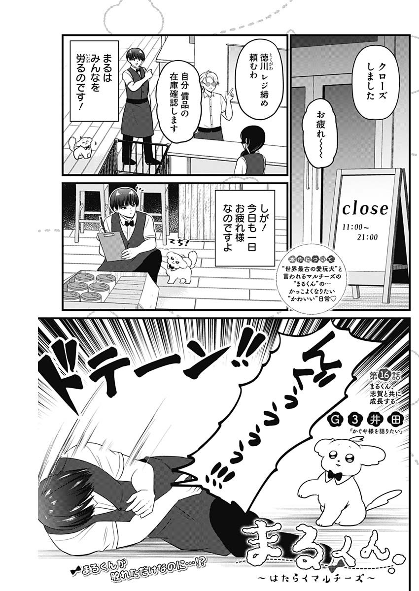 まるくん～はたらくマルチーズ～ 第16話 - Page 1