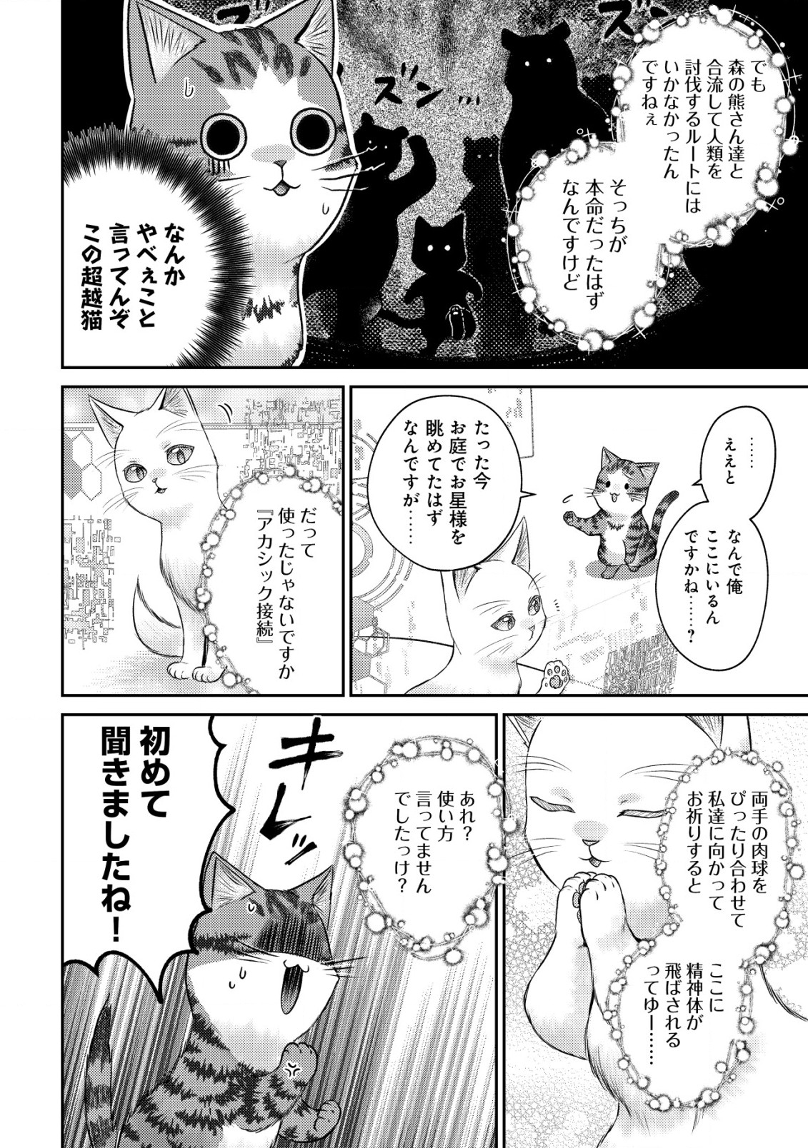 我輩は猫魔導師である～キジトラ・ルークの快適チート猫生活～ 第10.1話 - Page 2