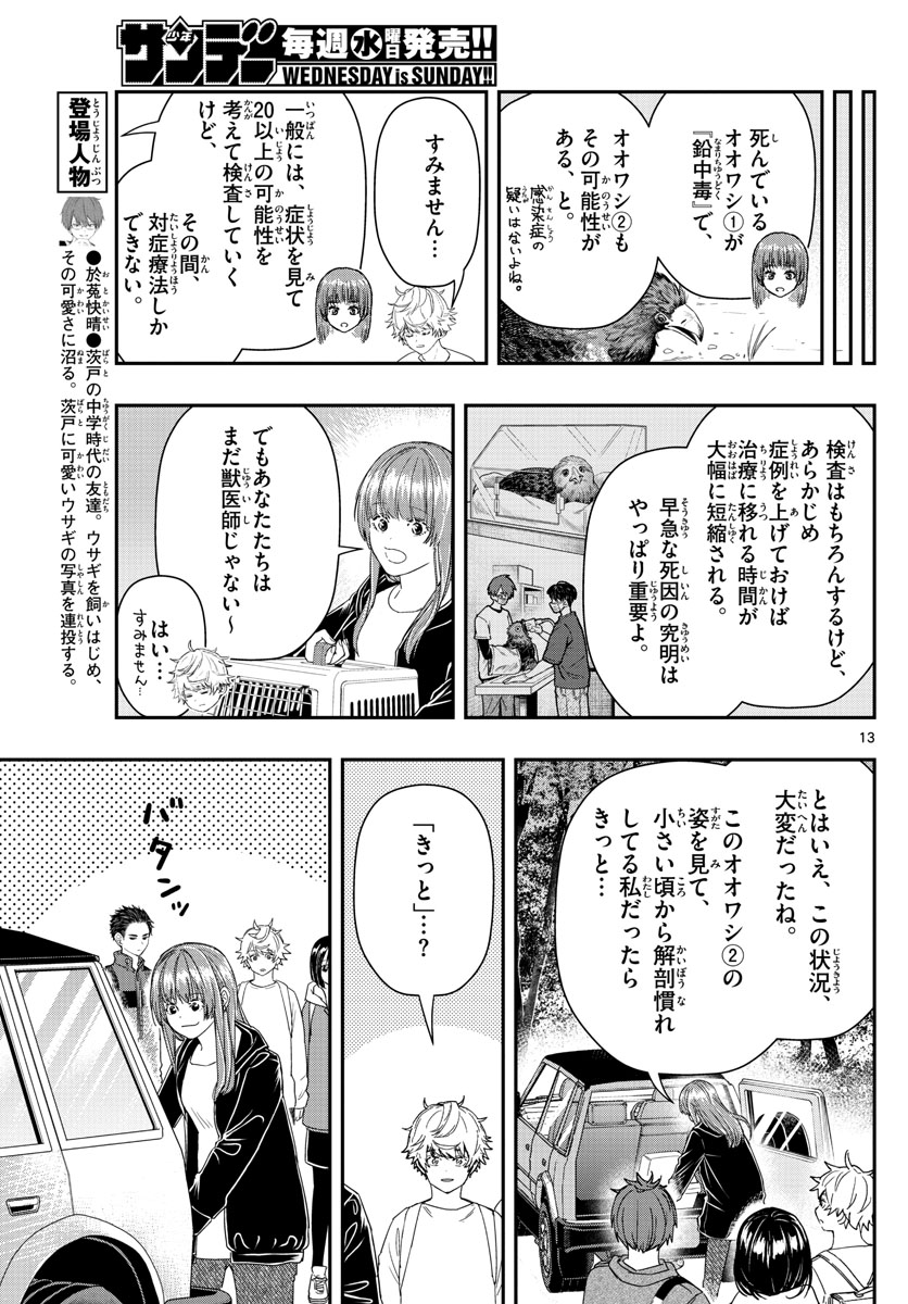 ラストカルテ-法獣医学者 当麻健匠の記憶- 第41話 - Page 13