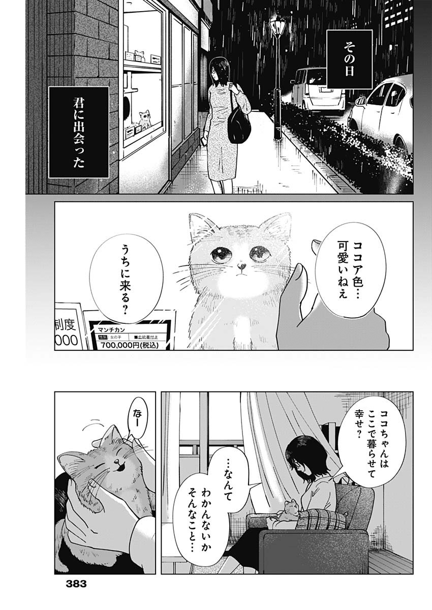 この部屋から東京タワーは永遠に見えない 第8話 - Page 19