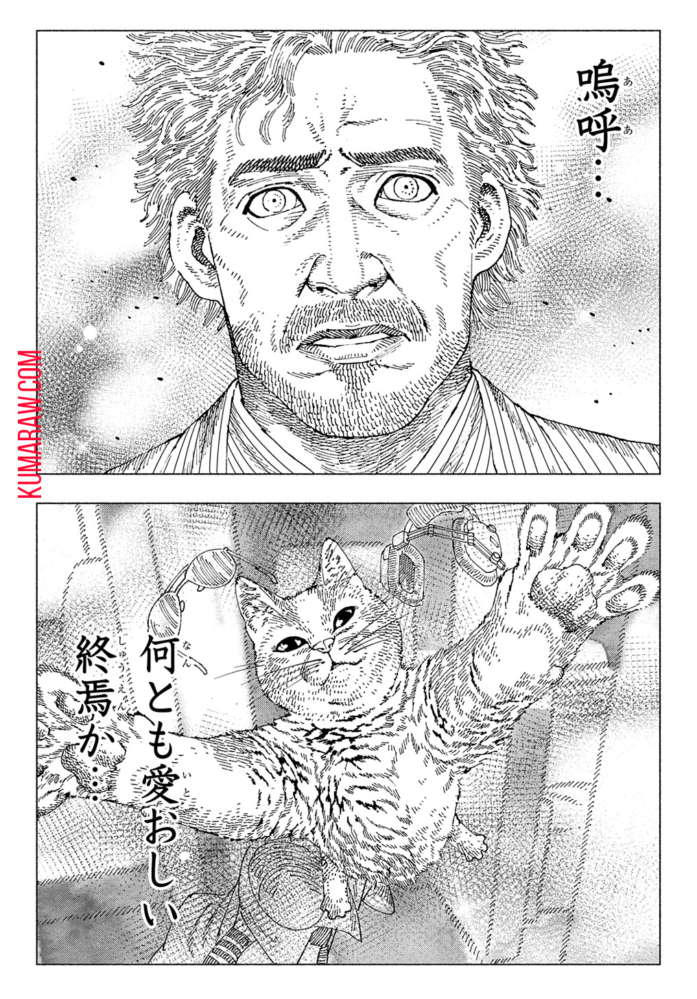 ニャイト・オブ・ザ・リビングキャット 第5.1話 - Page 12