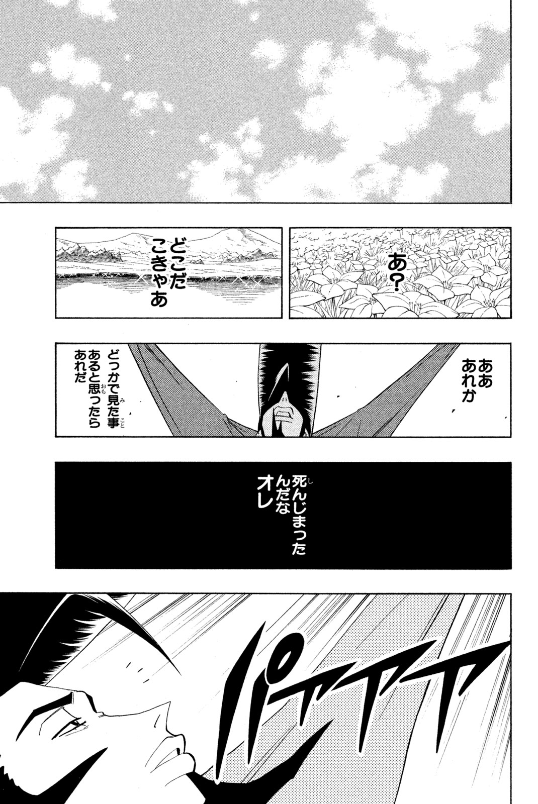 シャーマンキングザスーパースター 第189話 - Page 15