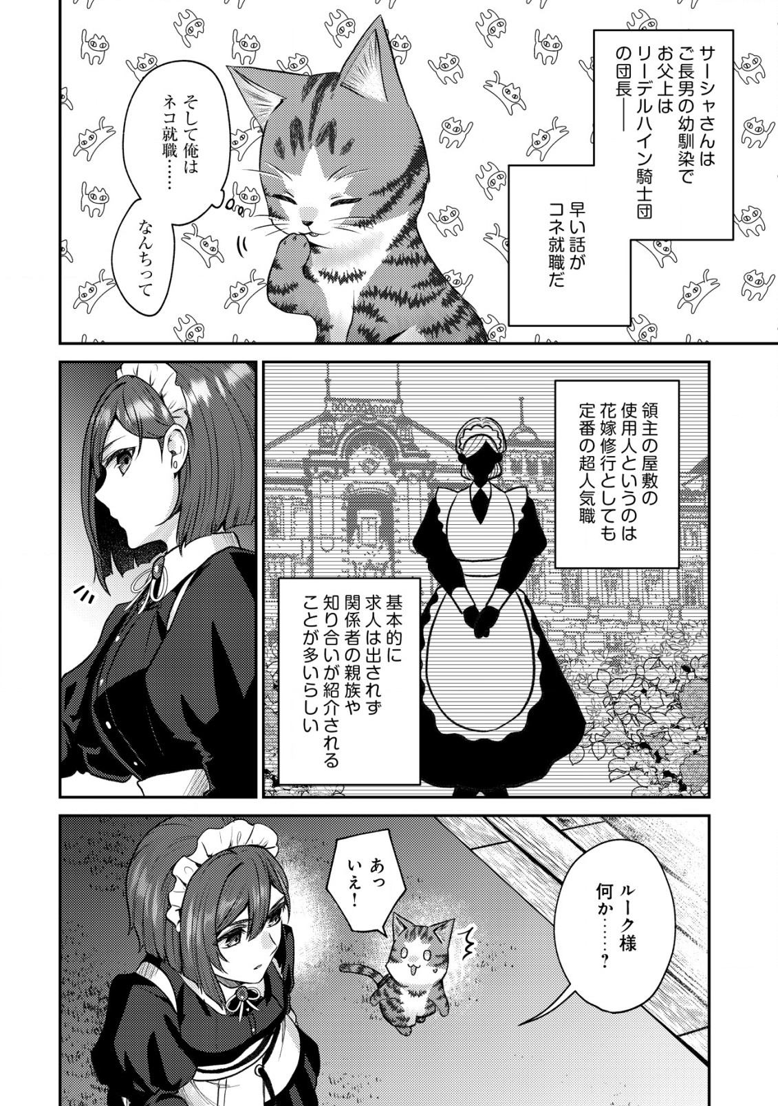 我輩は猫魔導師である～キジトラ・ルークの快適チート猫生活～ 第7.2話 - Page 10