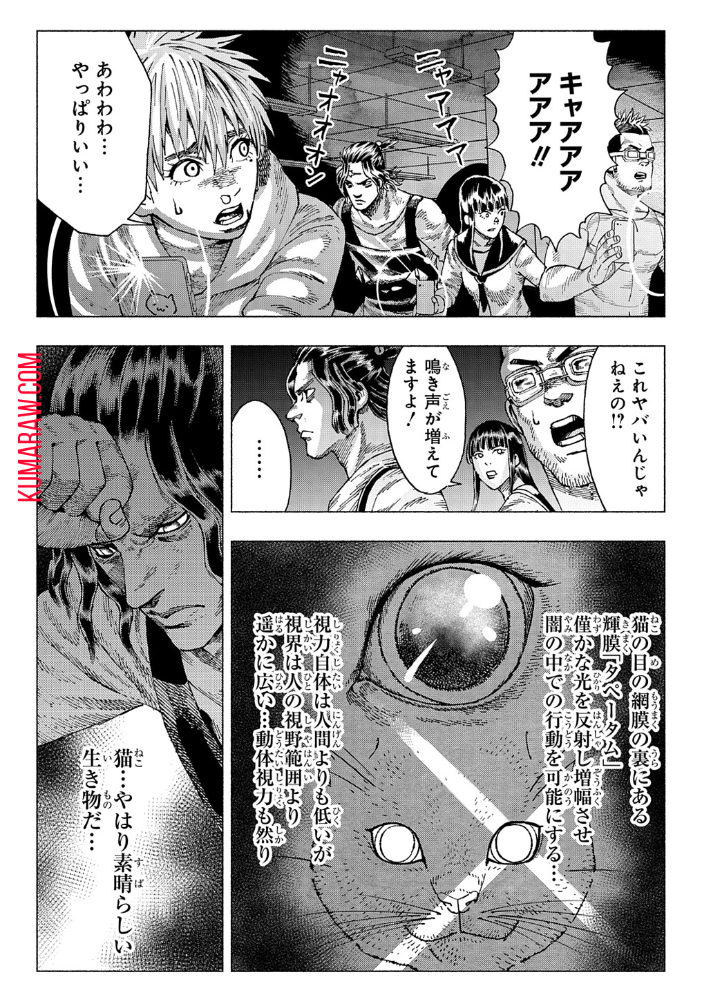 ニャイト・オブ・ザ・リビングキャット 第4.1話 - Page 8