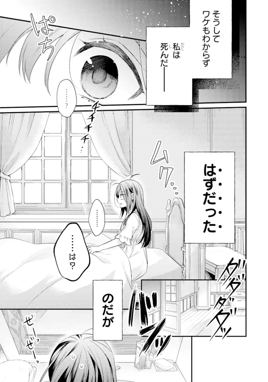 結婚すると死んでしまうので、カンスト聖女(Lv.99)は飯テロします! 第1.1話 - Page 4