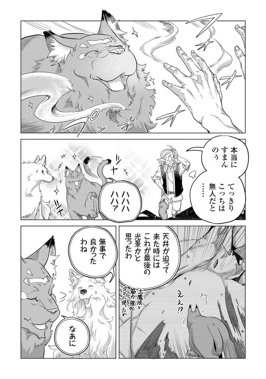 もふもふと異世界でスローライフを目指します！ 第47話 - Page 29