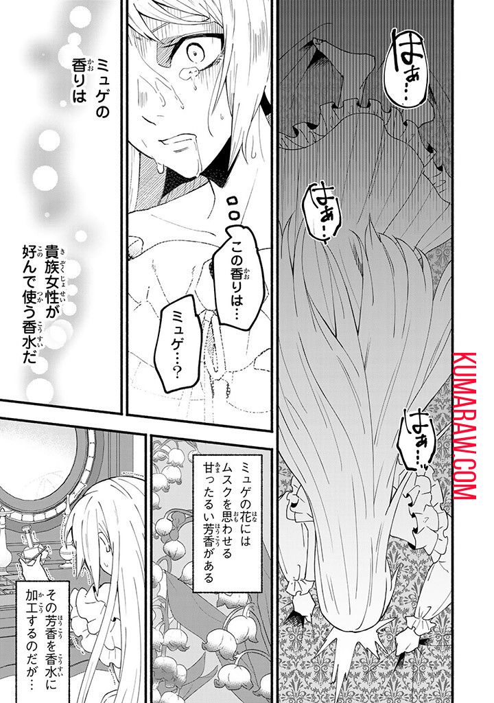 悪夢令嬢は一家滅亡の夢を見た ～私の目的は生き延びることです～ 第3話 - Page 17