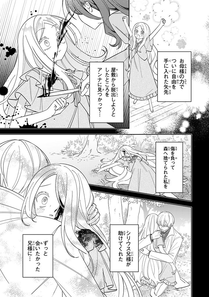 自由気ままな精霊姫 第6.1話 - Page 3