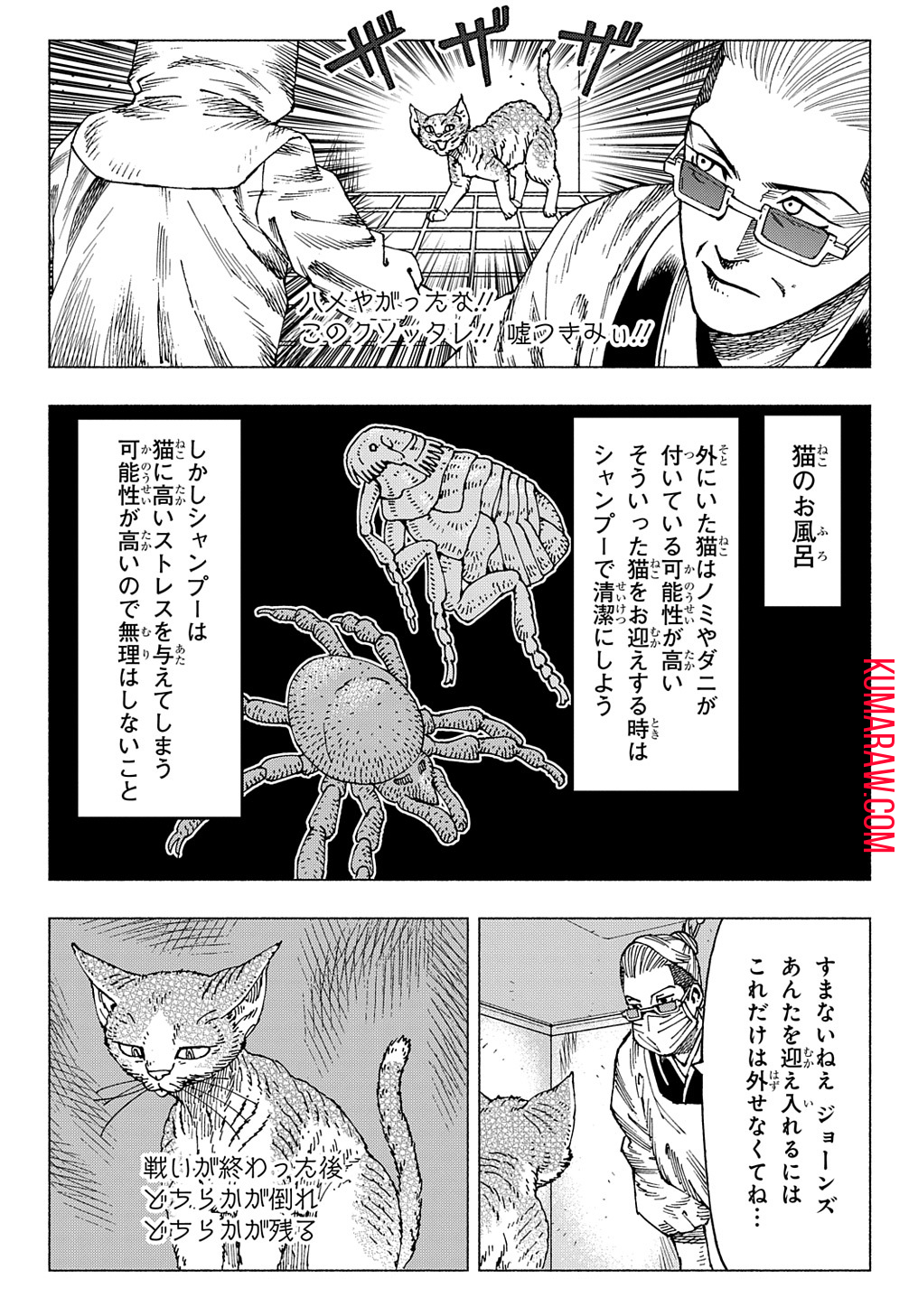 ニャイト・オブ・ザ・リビングキャット 第13話 - Page 13