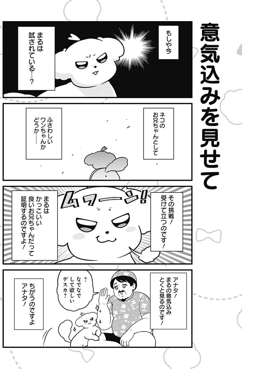 まるくん～はたらくマルチーズ～ 第27話 - Page 4