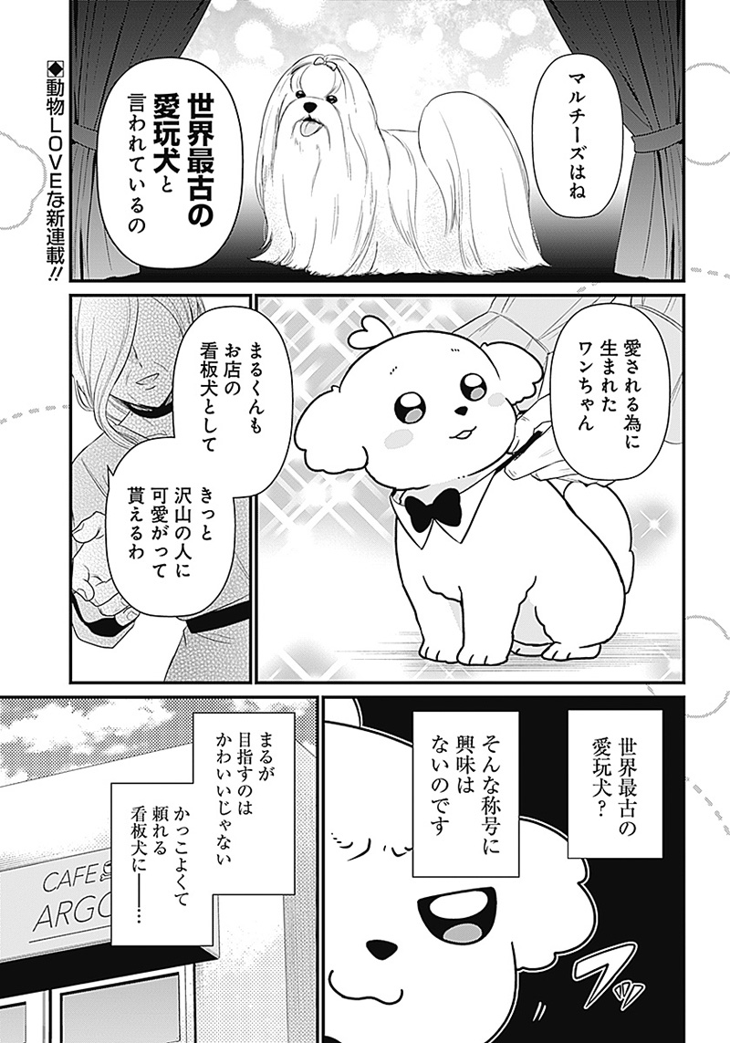 まるくん～はたらくマルチーズ～ 第1話 - Page 2