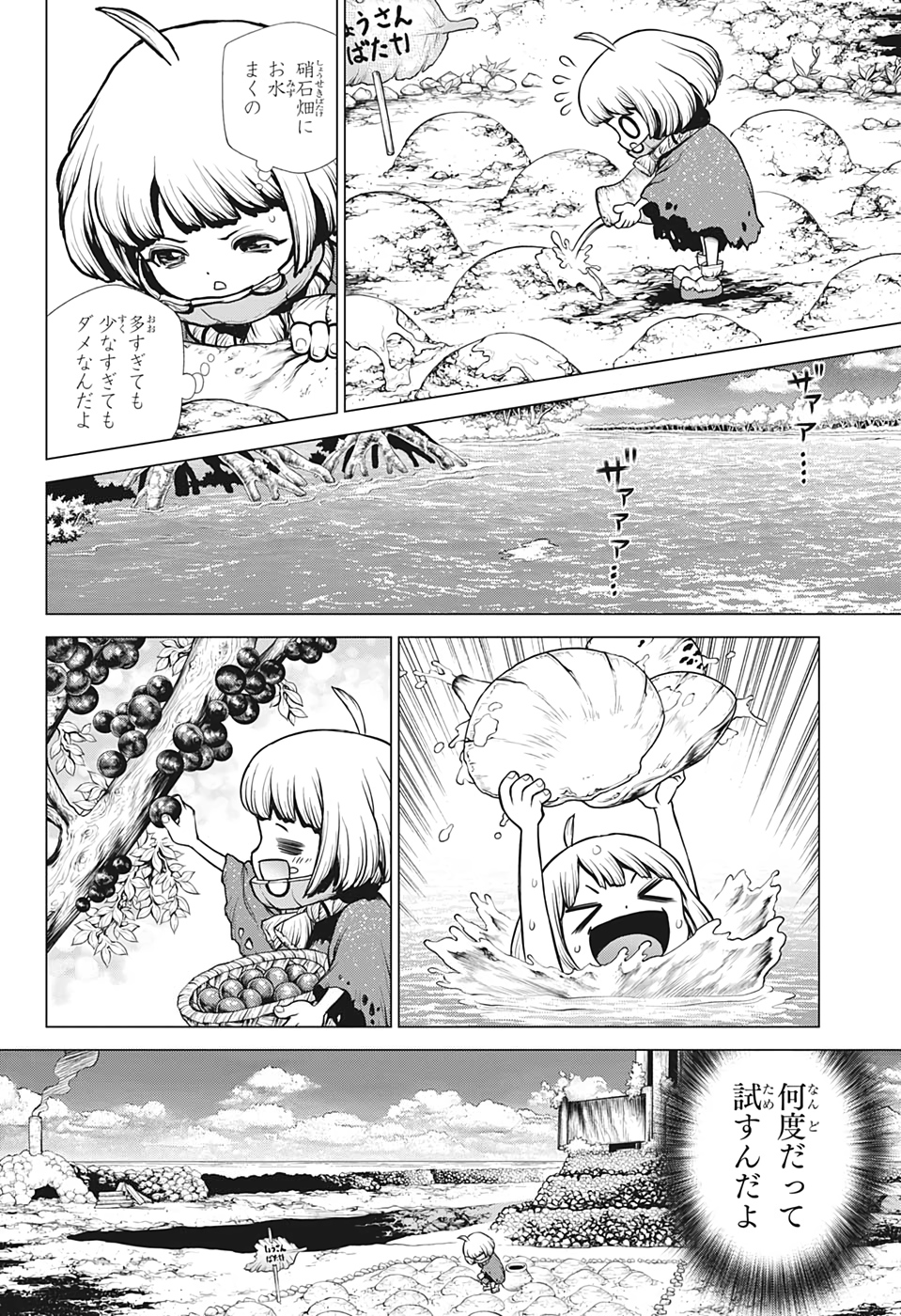 ドクターストーン 第196話 - Page 13