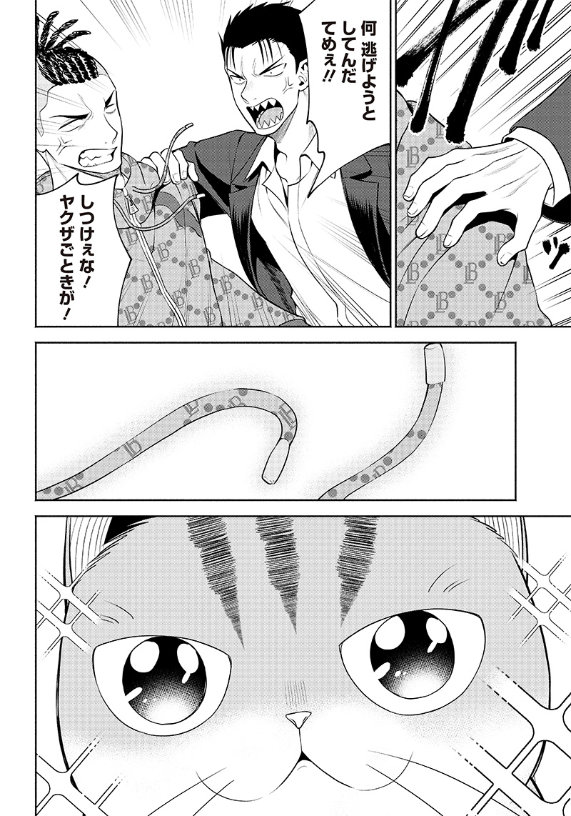 猫が如く 第10話 - Page 6