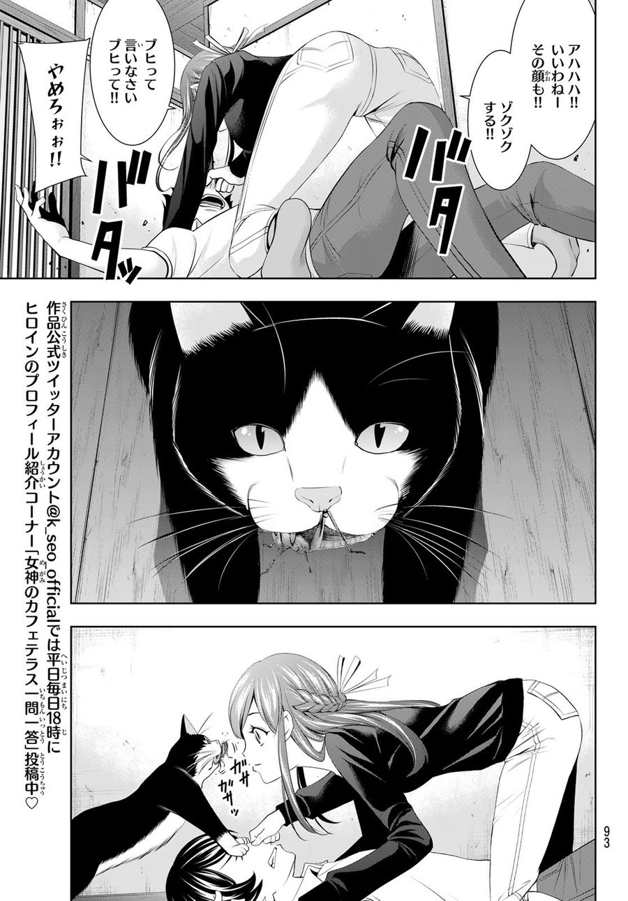 女神のカフェテラス 第46話 - Page 17