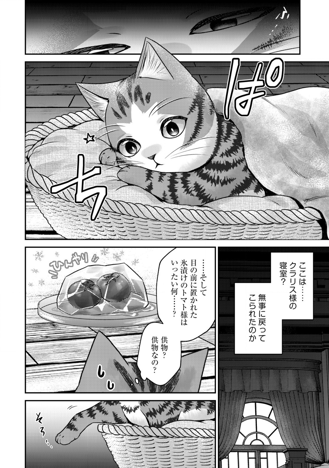 我輩は猫魔導師である～キジトラ・ルークの快適チート猫生活～ 第10.2話 - Page 11