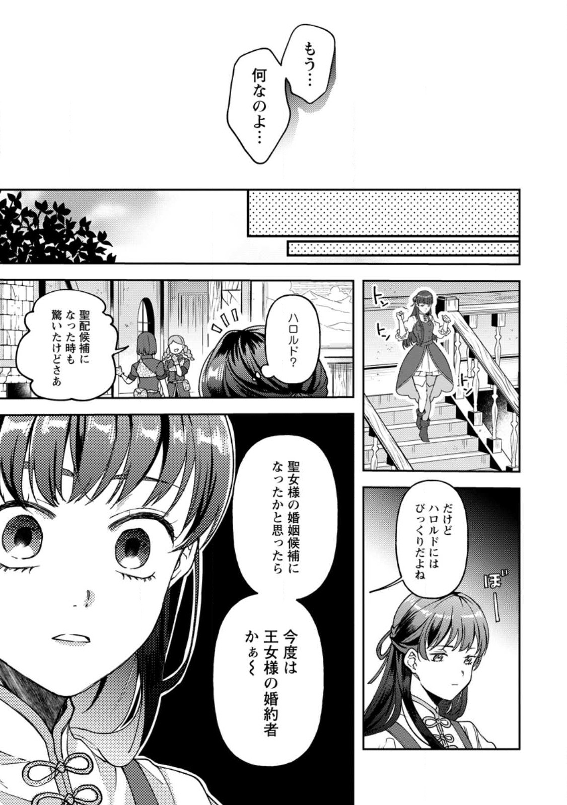 怒った聖女は一人で魔王を倒したい 怒った聖女は一人で魔王を倒したい 第10.1話 - Page 7