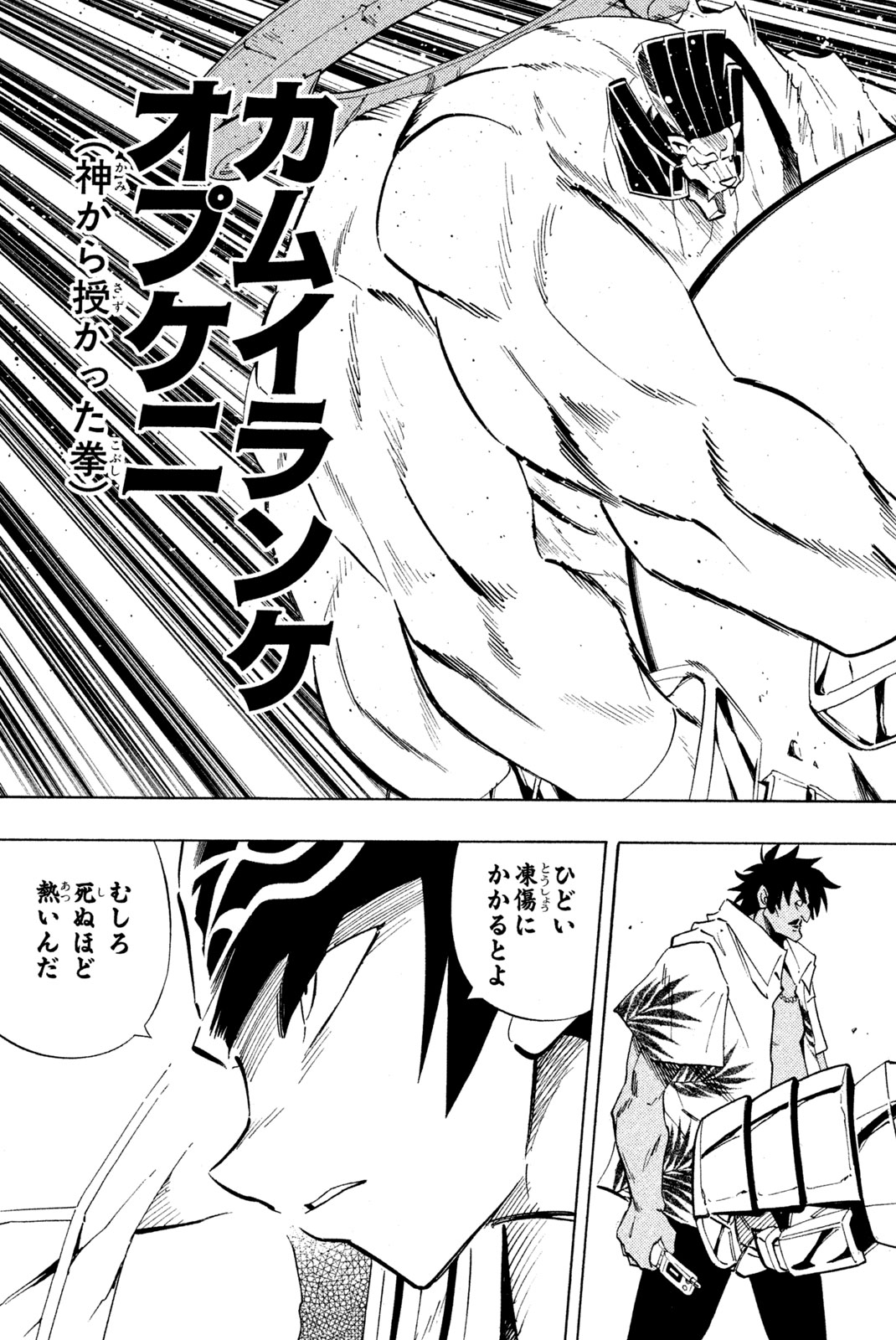 シャーマンキングザスーパースター 第227話 - Page 13
