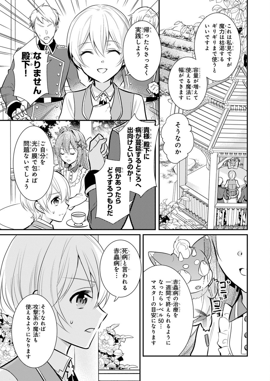 草魔法師クロエの二度目の人生 自由になって子ドラゴンとレベルMAX薬師ライフ 第13話 - Page 15