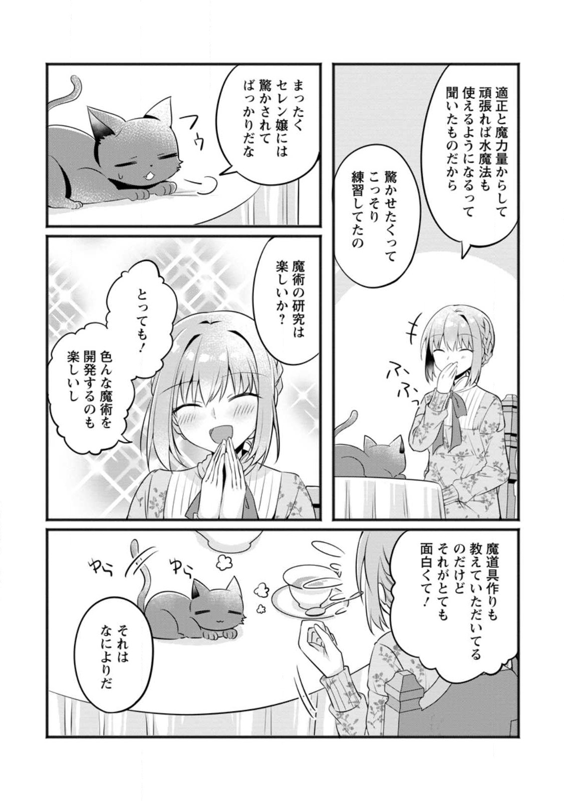 地味姫と黒猫の、円満な婚約破棄 第26.2話 - Page 6