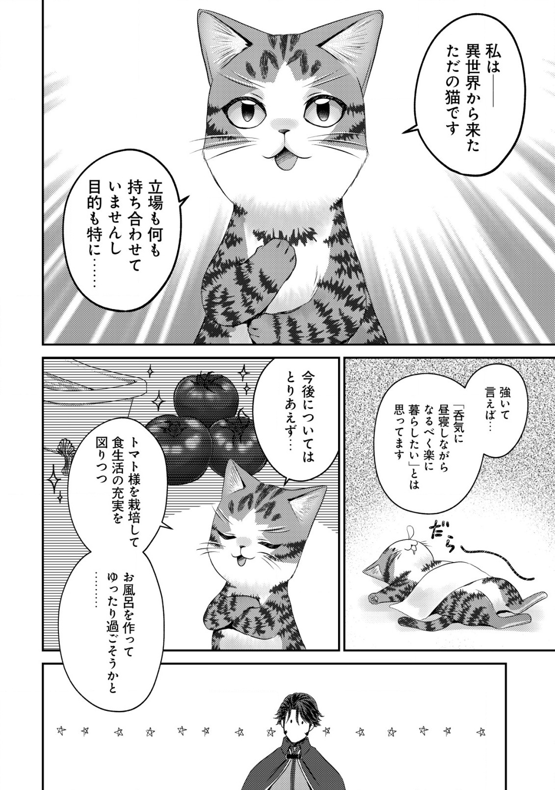 我輩は猫魔導師である～キジトラ・ルークの快適チート猫生活～ 第14.2話 - Page 11