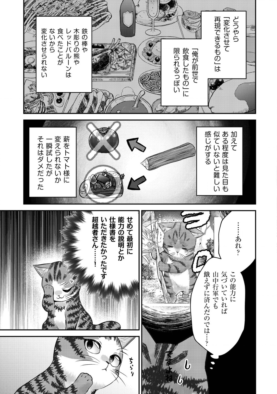 我輩は猫魔導師である～キジトラ・ルークの快適チート猫生活～ 第5話 - Page 9