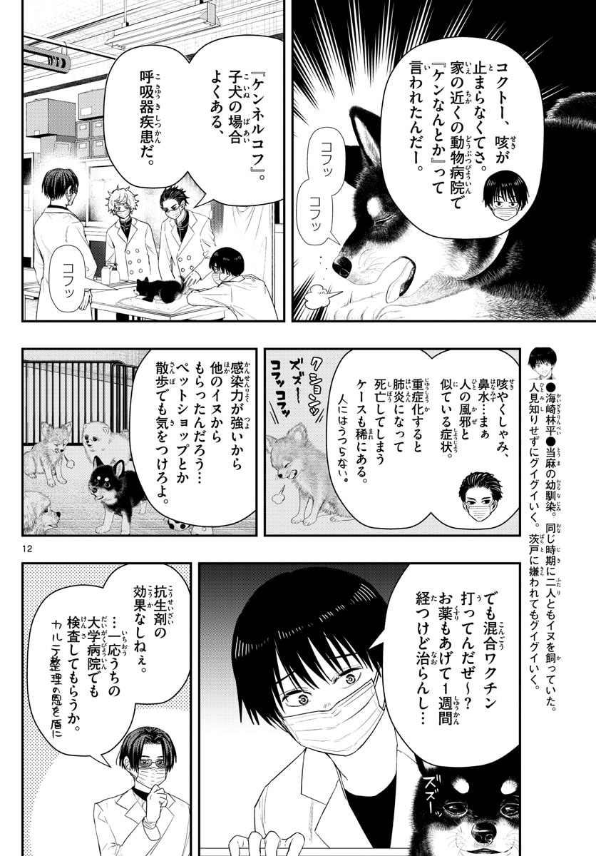 ラストカルテ-法獣医学者 当麻健匠の記憶- 第24話 - Page 12