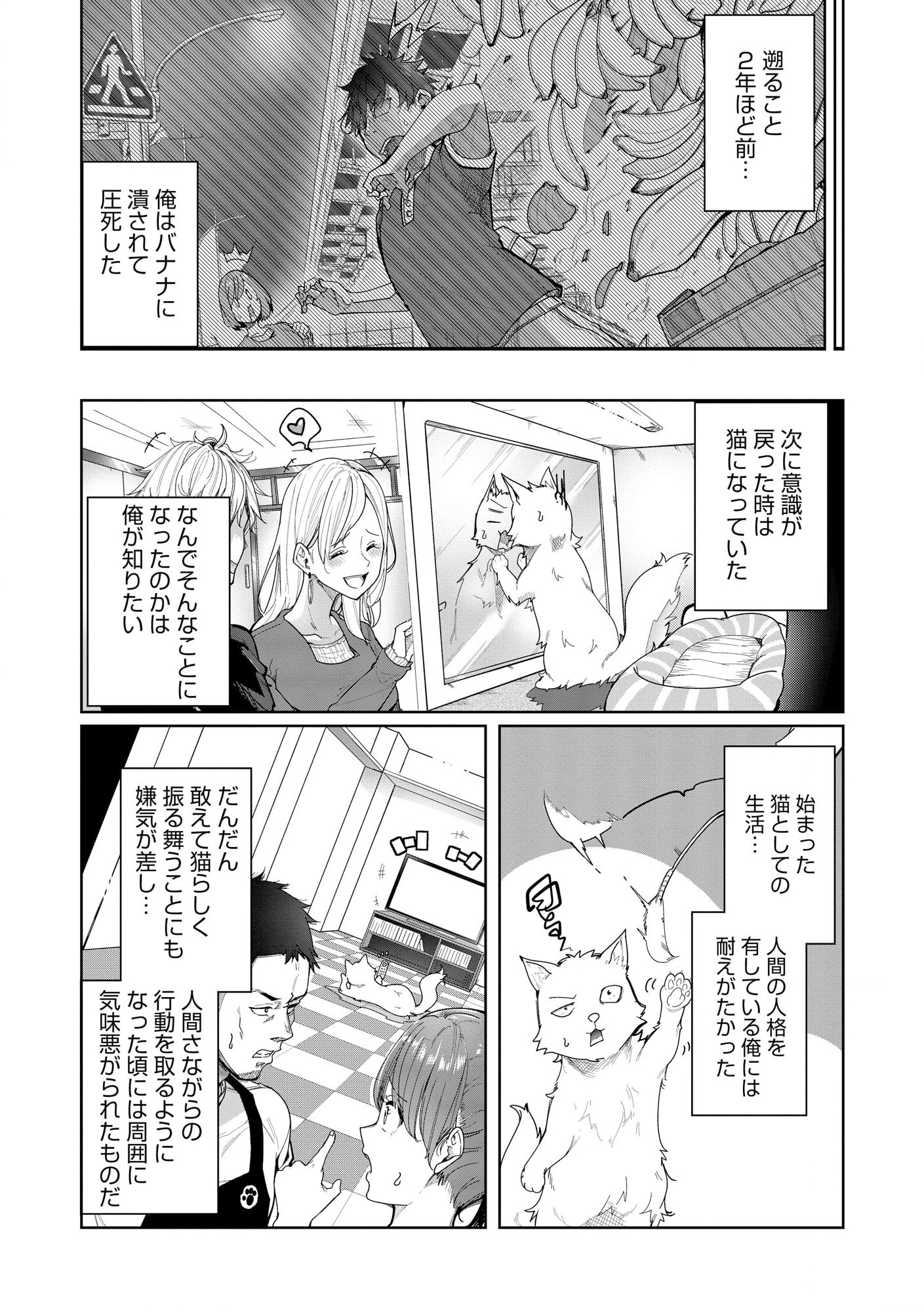 猫に転生したけど、暇なのでゲーマー女子と一緒にＶＲＭＭＯをする 第1.1話 - Page 5