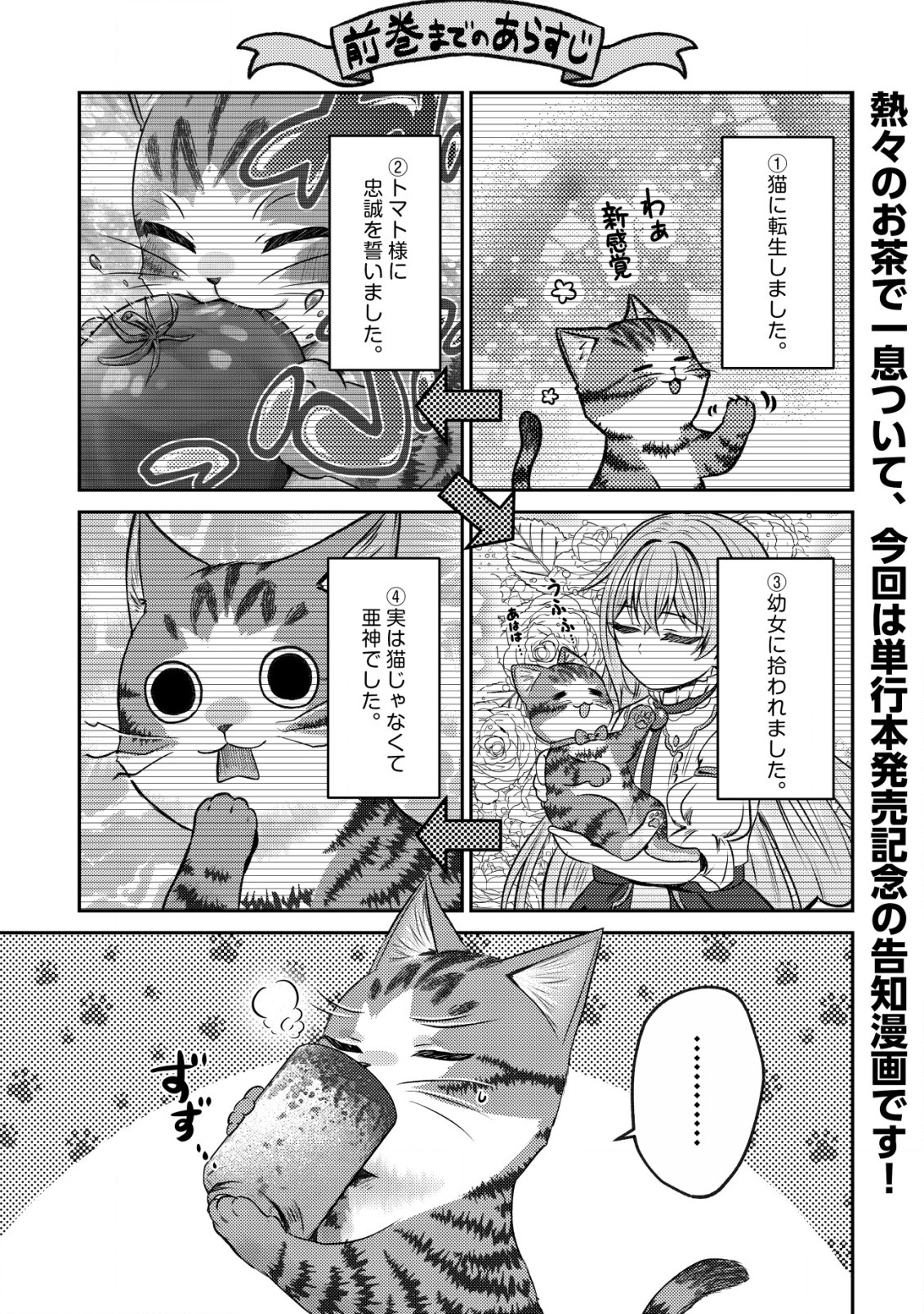 我輩は猫魔導師である～キジトラ・ルークの快適チート猫生活～ 第10.5話 - Page 1