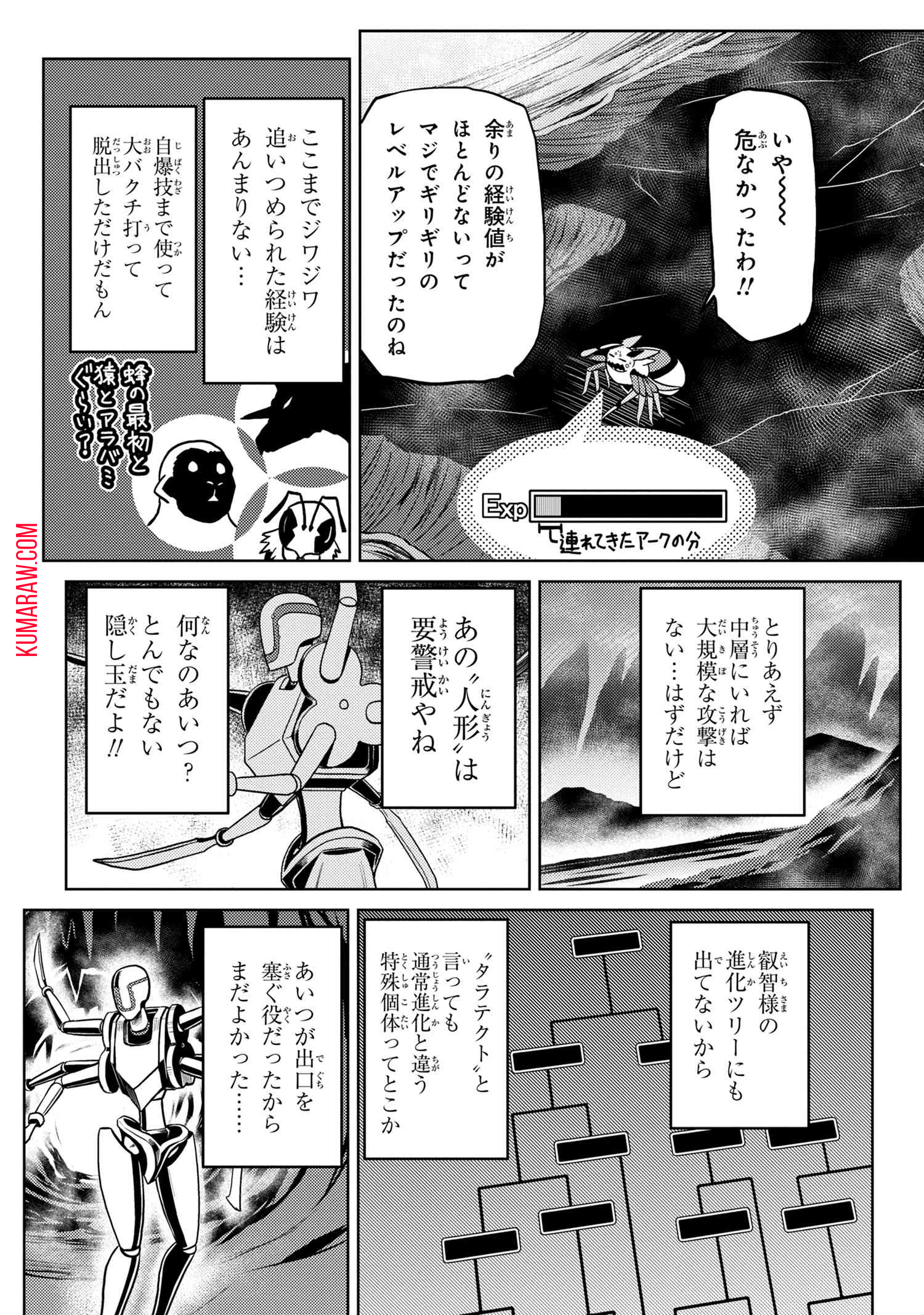 蜘蛛ですが、なにか？ 第42.1話 - Page 8