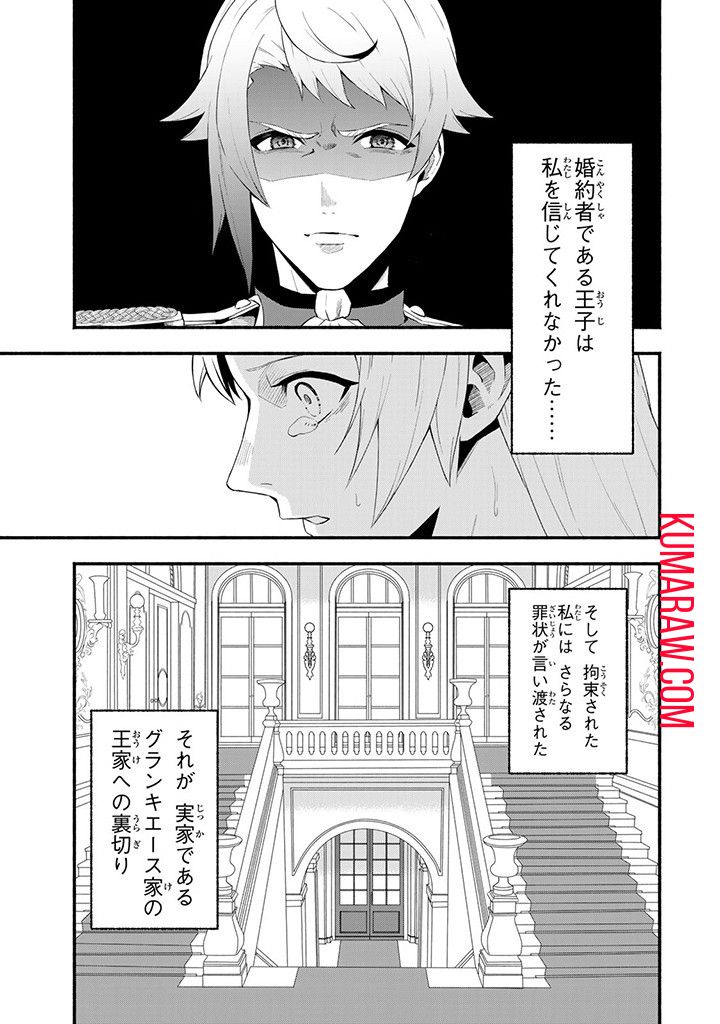 悪夢令嬢は一家滅亡の夢を見た ～私の目的は生き延びることです～ 第1話 - Page 15