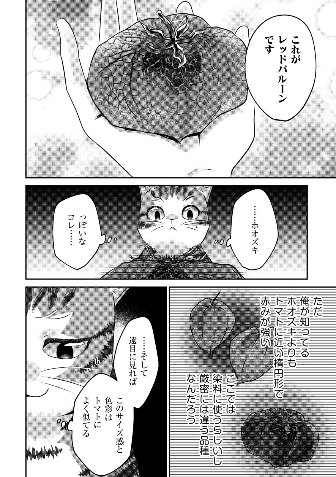 我輩は猫魔導師である～キジトラ・ルークの快適チート猫生活～ 第4話 - Page 28