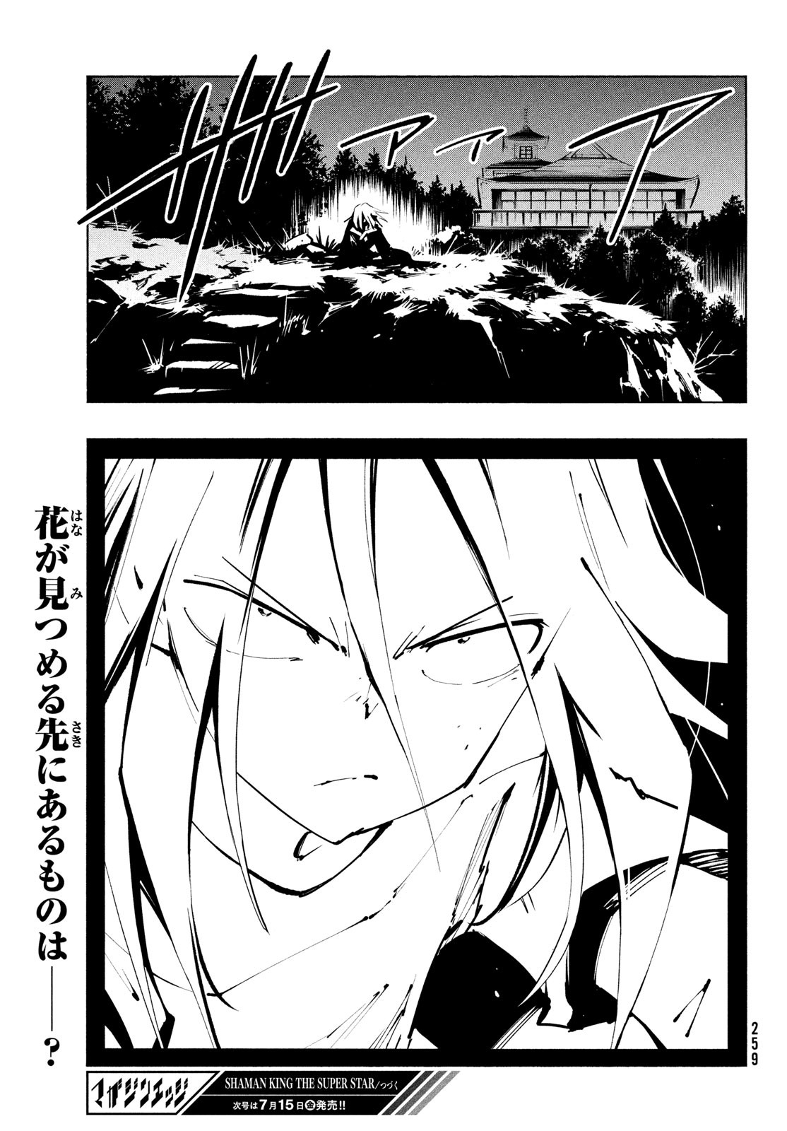 シャーマンキングザスーパースター 第38話 - Page 29