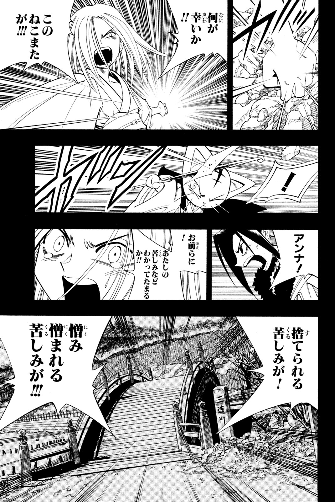 シャーマンキングザスーパースター 第174話 - Page 13