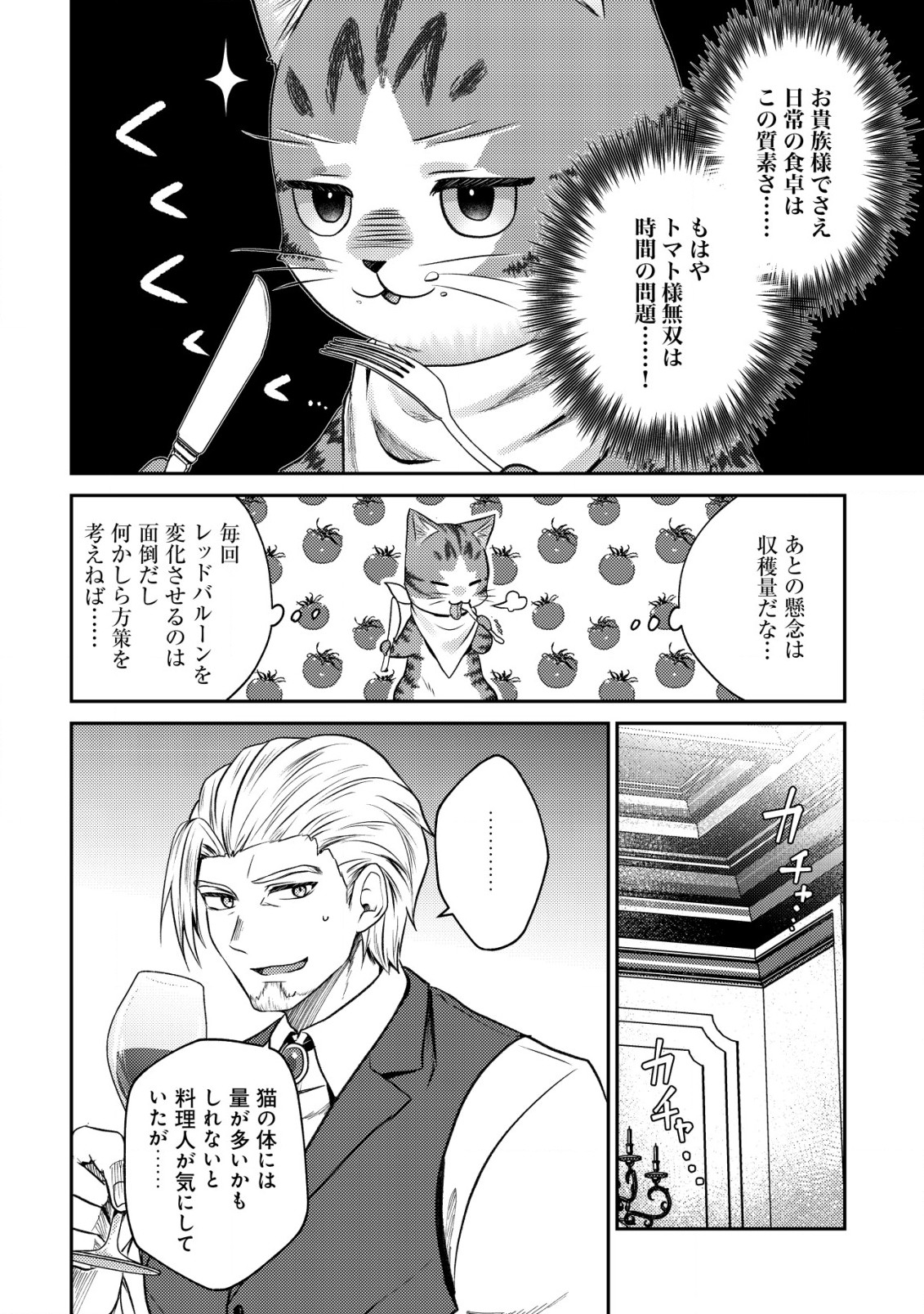 我輩は猫魔導師である～キジトラ・ルークの快適チート猫生活～ 第7.2話 - Page 6