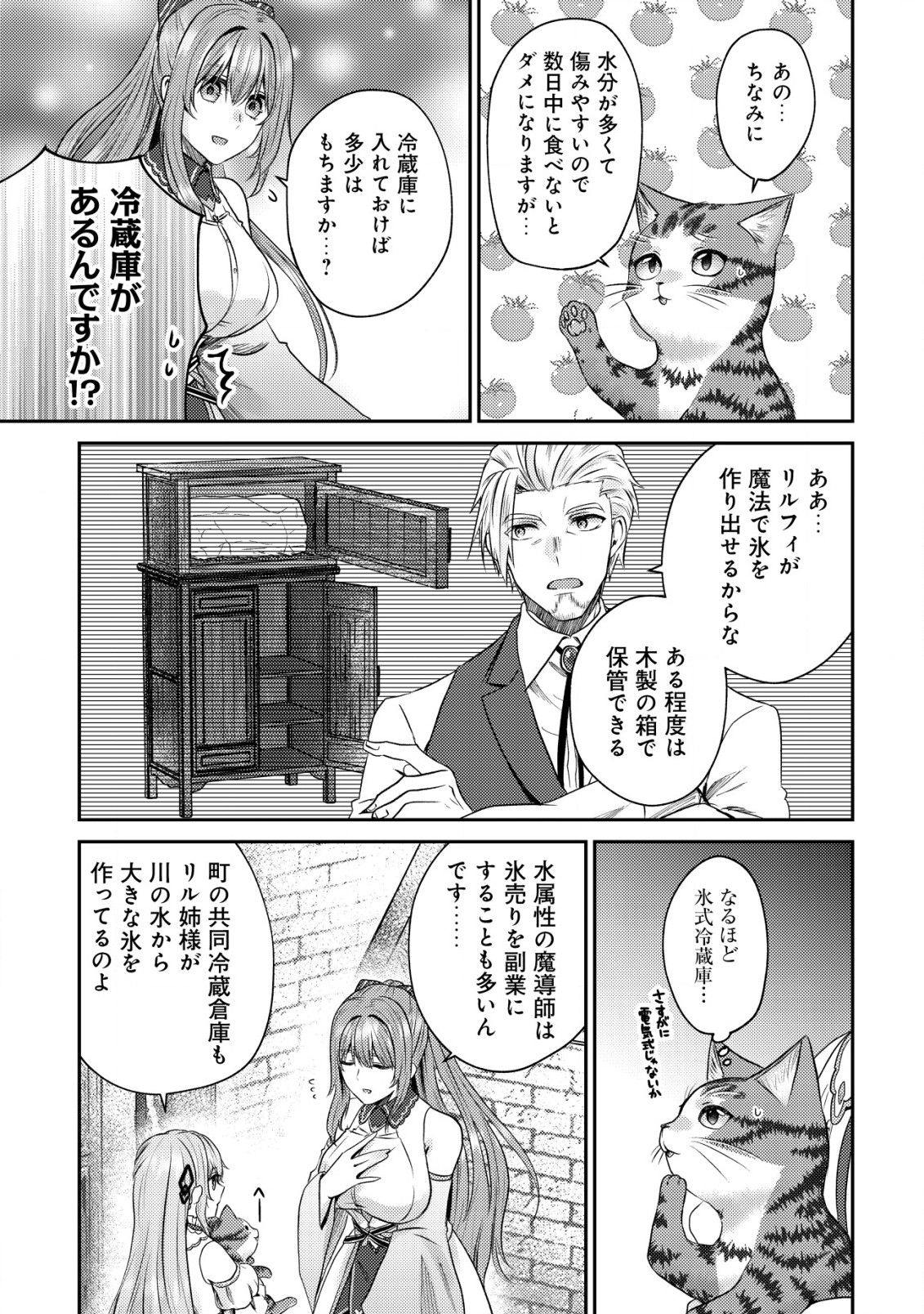 我輩は猫魔導師である～キジトラ・ルークの快適チート猫生活～ 第6話 - Page 13