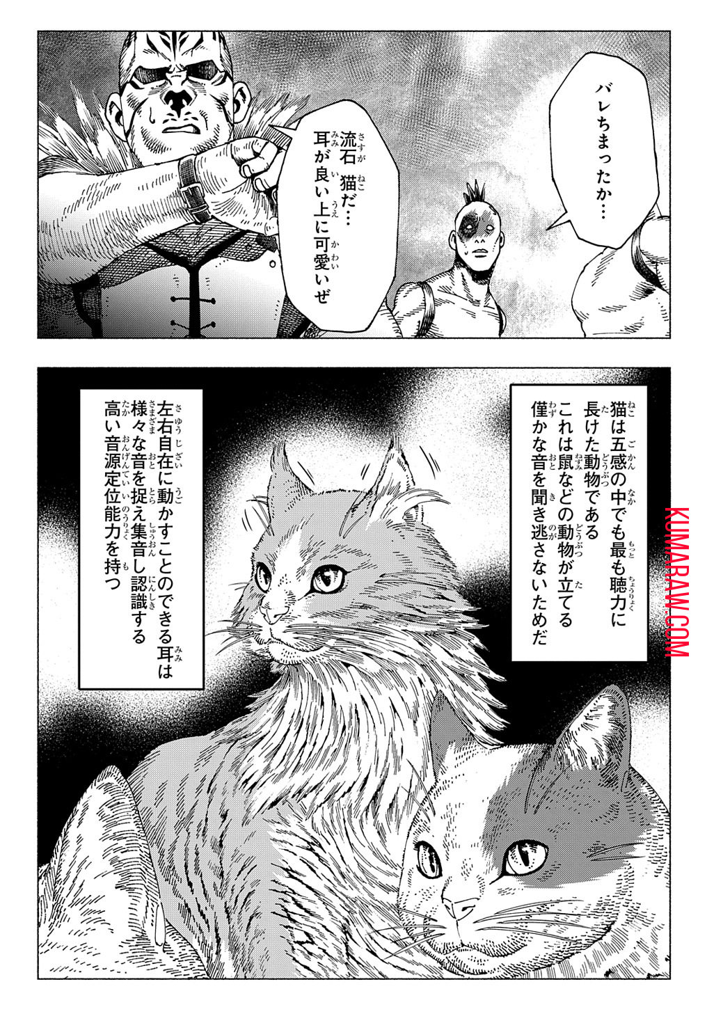 ニャイト・オブ・ザ・リビングキャット 第7.5話 - Page 3