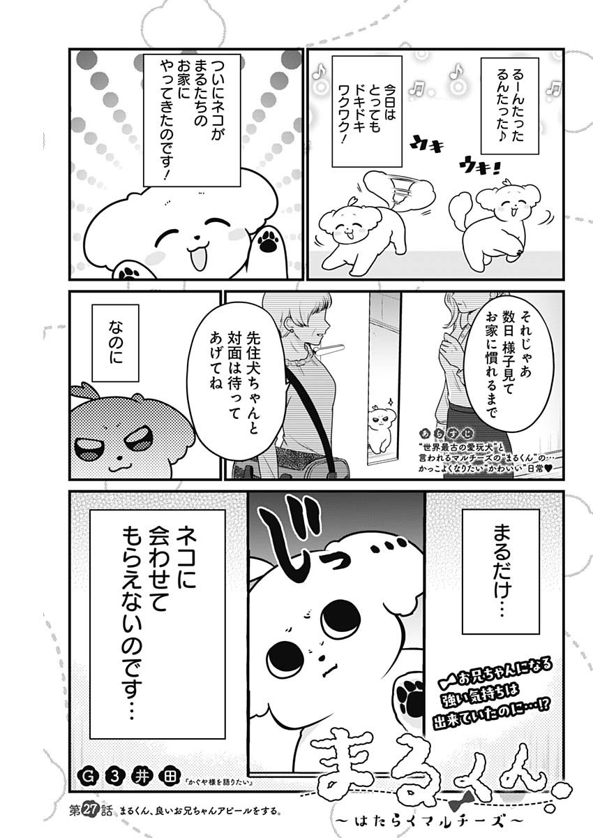 まるくん～はたらくマルチーズ～ 第27話 - Page 1