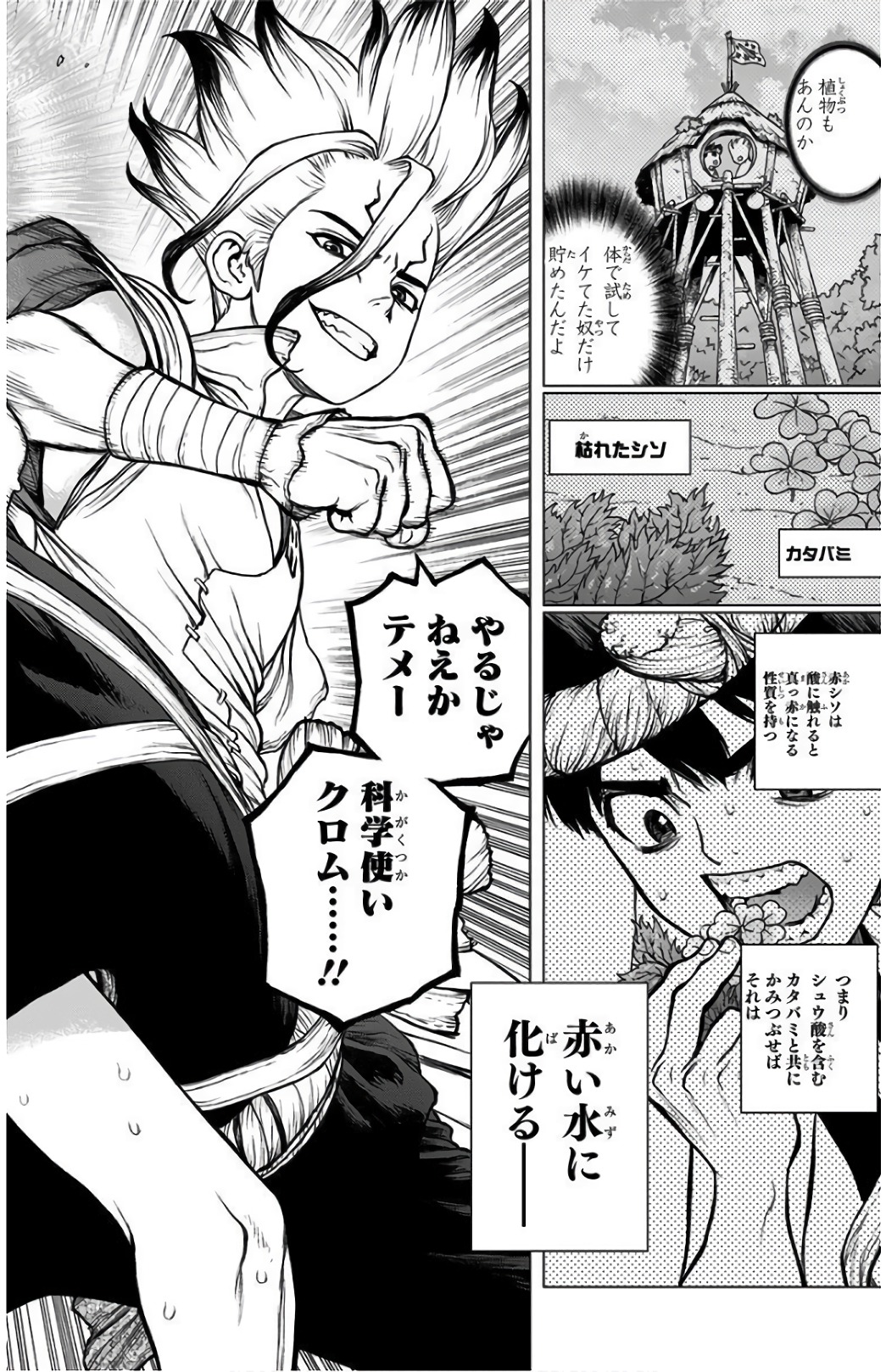 ドクターストーン 第72話 - Page 18