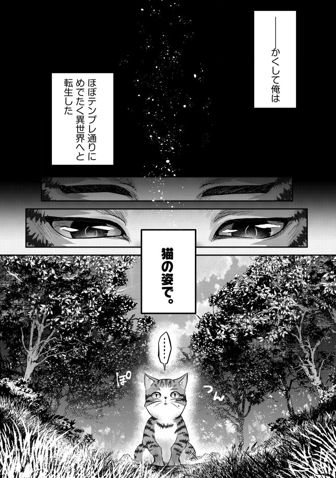 我輩は猫魔導師である～キジトラ・ルークの快適チート猫生活～ 第1話 - Page 12