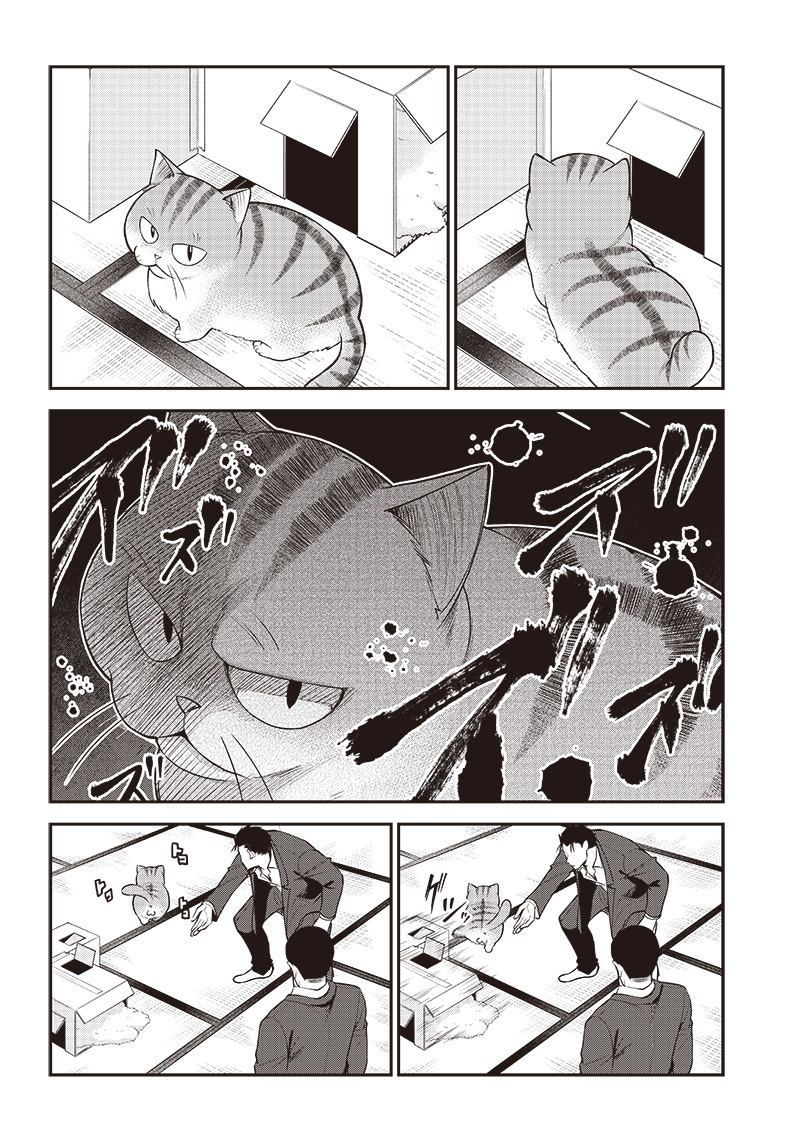 猫が如く 第1話 - Page 16